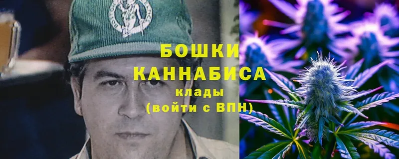 Канабис SATIVA & INDICA  сколько стоит  Кузнецк 